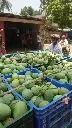 Langraa mango.webp