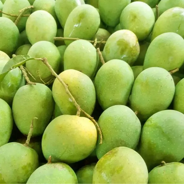 Himsagor 5 kg